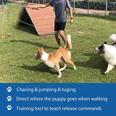 Portable Interactive Pet Training Toy for Outdoor Play