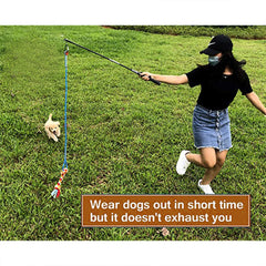 Portable Interactive Pet Training Toy for Outdoor Play